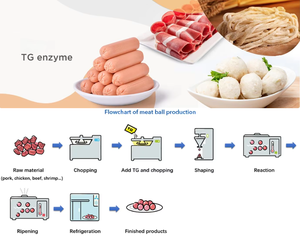 Enzyme transglutaminase TG de qualité alimentaire, fournie par l'usine YD-TG - Product Image 4