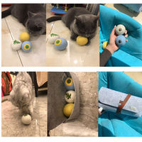 Jouet interactif en peluche en forme de boule de laine pour animaux de compagnie, chat, chien, chiot, chaton, tapis de couchage, fournitures d'entraînement, vente en gros, OEM personnalisé