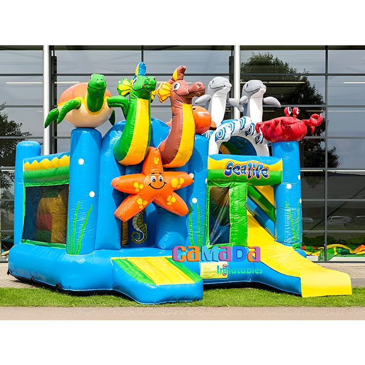 สีฟ้าที่มีสีสัน