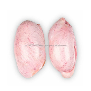 Tinh hoàn thịt bò đông lạnh chất lượng tinh hoàn thịt bò đông lạnh - Product Image 4