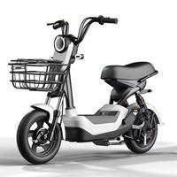 48V 350W cyclomoteur électrique Scooter 14 pouces pneu sous vide 2 sièges vélo électrique vélo électrique pour adultes