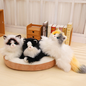 Peluche réaliste de chat Ragdoll 50 cm - Chat en peluche moelleux et réaliste, noir, blanc, calico, couleur Ragdoll, cadeau doux, vente en gros, OEM personnalisé - Product Image 2