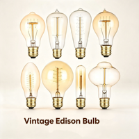 Ampoules Edison rétro décoratives E26 E27 G80/G95/G125/A19/ST64/T30/T45 220V 40 Watts à intensité variable