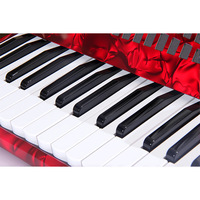 Professional Diatonic Accordion for Adult Grading and Performance Beginner Keyboard Instrument 30 Key 48 Bass ABS Matte Finish