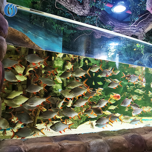 Produits les plus vendus Panneau acrylique transparent Projet de mur pour aquariums, Design moderne Grande feuille acrylique <span class=keywords><strong>Aquarium</strong></span> océanique - Product Image 4