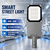 Lampu Jalan LED Luar Ruangan 60W dengan Kontrol Grup Peredupan Cerdas untuk Jalan Raya Kota