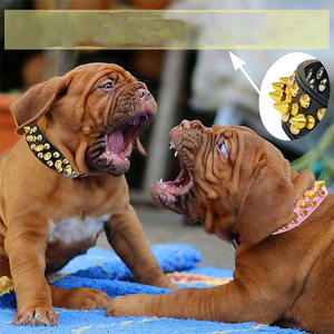 Collar de Perro de Lujo Duradero, de Moda, de PU Ecológico, con Remaches, Tachuelas, Estampado y Decoración de Cintas - Product Image 6