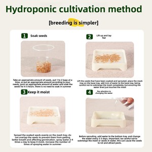 Snacks de Cuerda de Cáñamo Antideslizante con Semillas de Hierba Germinada Comestible para Loros, Juguete para Pájaros, Alivio <span class=keywords><strong>del</strong></span> Aburrimiento, Autoentretenimiento - Product Image 4