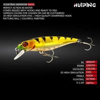 Leurre flottant pour la pêche hivernale au bar rayé multicolore, 85 mm, 9 g, avec hameçon