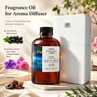 Diffuseur de parfum commercial intelligent avec double buse d'atomisation, grande bouteille d'huile de 950 ml, contrôle Bluetooth