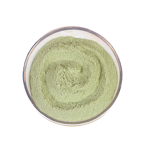 2024 Nouveau produit recommandé Poudre de pouding au matcha originale aromatisée Pratique <span class=keywords><strong>et</strong></span> rapide à <span class=keywords><strong>manger</strong></span> - Product Image 4