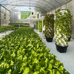 High Quality Pineapple Aeroponic <strong>Tower</strong> 48/64/80/96 <strong>Planting</strong> Holes Vertical Growing System with Pump - Product Image 3