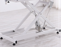 Tbmt — table médical à LED réglable pour chien, relevage de croix, table de toilettage électrique, vente en gros