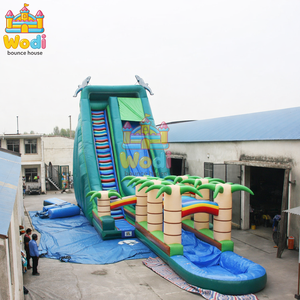Toboggan aquatique <span class=keywords><strong>gonflable</strong></span> pour adultes, château <span class=keywords><strong>gonflable</strong></span>, PVC flexible de 0,55 mm, résistance commerciale, garantie de 3 ans, festivals, carnavals - Product Image 3