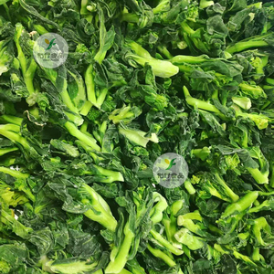 Mejor Precio y Servicio al por Mayor: Flor de Colza Verde Congelada IQF y Choy Sum <span class=keywords><strong>Congelado</strong></span> - Product Image 4