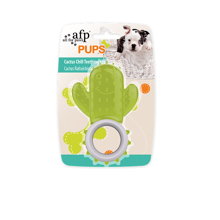 Jouet de dentition Cactus Chill
