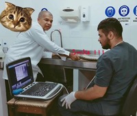 Ecógrafo Portátil Eléctrico EURVET Chison Color Doppler 3D/4D SonoBook9 con Sonda Convexa de Metal