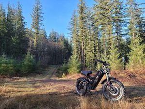จักรยานไฟฟ้าแบบ All-Weather รุ่น Step-Through ยาง Fat Tire ขนาด 20x4.0 นิ้ว กว้างพิเศษ 52V โครงเหล็กคาร์บอน สำหรับขี่ชายหาด หิมะ ทราย สำรวจกลางแจ้ง รุ่น Romeo Elec - Product Image 4