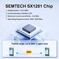 Kit de développement DX-LR43-24M12S, module LoRa SX1281, 2,4 GHz, 12,5 dBm, longue portée 3 km, module émetteur-récepteur RF sans fil, SPI FLRC BLE