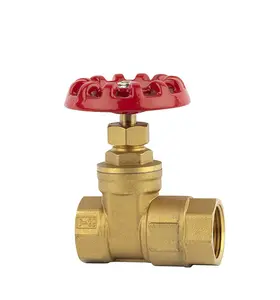 Brass check and gate valve with check function for sale manufacturer in China