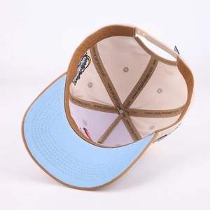 Gorras de Béisbol Deportivas al por Mayor, 6 Paneles, Unisex, con Bordado 3D, Logotipo Personalizado, Impermeables, Formales, con Patrón de Frutas/Letras, de Algodón - Product Image 6