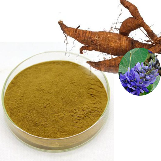 Kudzu extract Pueraria mirifica extract Puerarin 98% powder