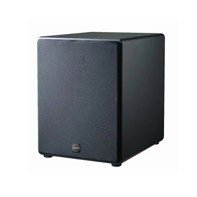 12 Inch Neodymium Active Subwoofer 300W Professional Powered Bass Speaker for Stage Lecture Halls Auditoriums & Concerts