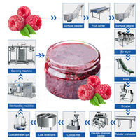 Machine complète de fabrication de confiture ORME Ligne de production de confiture de date Ligne de fabrication de confiture de fruits à vendre