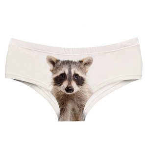 Vendita calda Della Fabbrica personalizzato RACOON stampato delle donne delle mutandine <span class=keywords><strong>super</strong></span> soft senza soluzione di continuità <span class=keywords><strong>sexy</strong></span> delle donne della biancheria intima - Product Image 1