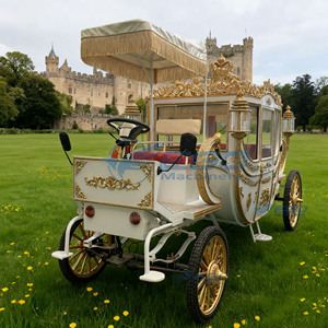 Charrette royale électrique de tourisme Xuchang, élégante et de haute qualité, en acier, type chariot à chevaux - Product Image 3