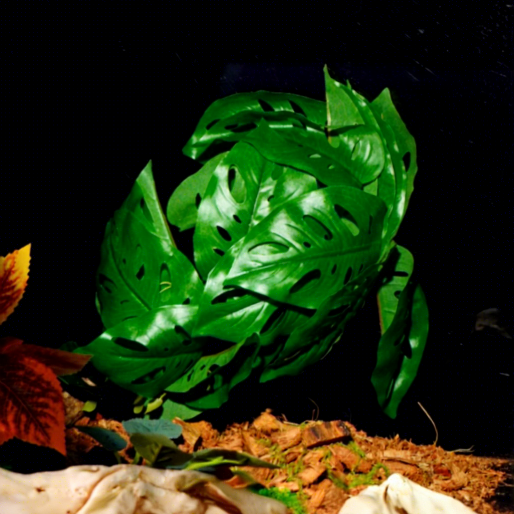 Fairy cave leaf-with suction cup