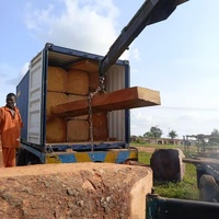Bois durs TALI non finis, importations africaines de sciages tempérés et tropicaux du Nigeria