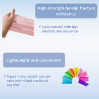 Bandas de resistencia personalizadas, juego de bandas elásticas de ejercicio para recuperación, terapia física, Yoga, Pilates, rehabilitación, entrenamiento de fuerza