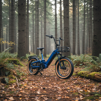 Vélo électrique de ville avec moteur arrière 750W et pneus larges