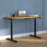 Mini support de bureau intelligent à deux moteurs, mécanisme électrique réglable en hauteur, idéal pour un salon