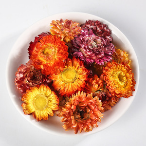 Vente en gros usine de tisane de fleurs séchées d'<span class=keywords><strong>Helichrysum</strong></span> <span class=keywords><strong>Bracteatum</strong></span> de qualité supérieure - Product Image 5