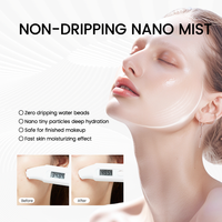 Pulvérisateur de brume nano portable pour le soin de la peau du visage, machine de beauté à ultrasons pour l'hydratation, pour usage personnel à domicile