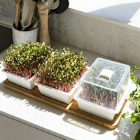 Set Hadiah Kit Penanaman Microgreens dengan 3 Baki dan Penyangga Bambu Alami untuk Sayuran Salad Dapur Dalam Ruangan