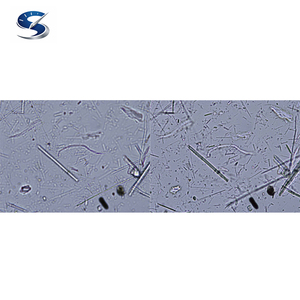 Microscopio Polarizador/Dispersor LV100ND POL/DS para Análisis Cualitativo e Identificación de Asbesto - Product Image 5