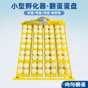 Automatic <b>Egg</b> Incubator 16 24 <b>Eggs</b> ABS Plastic Chicken Farm Laboratory Use With Auto Turning Tray - Product Image 3