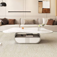 Table basse écologique style papillon avec plateau ovale en pierre frittée, tiroir de rangement, base en acier inoxydable et meuble en MDF