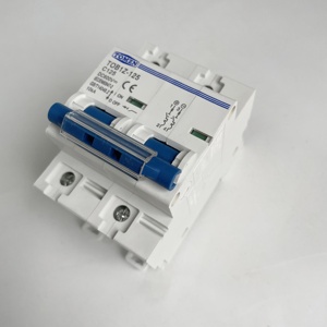 เบรกเกอร์วงจรขนาดเล็ก TOMZN 2P 125A DC MCB 600V สำหรับระบบโซลาร์เซลล์ แบบ C Curve สำหรับแบตเตอรี่หลักและสวิตช์กำเนิดไฟฟ้าพลังงานแสงอาทิตย์ - Product Image 1