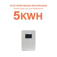Batterie domestique LiFePO4 51,2 V 100 Ah IP65 avec garantie 10 ans, CAN, Bluetooth, BMS et contrôle intelligent par application pour stockage d'énergie et alimentation de secours