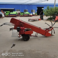 Récolteuse d'ail entièrement automatique à une rangée capable d'éliminer les racines et les feuilles