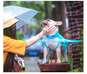 <strong>Wholesale</strong> Custom High Quality Flying Saucer ufo Shaped Dogs Clothes <strong>Raincoat</strong> for Dog Walking - Product Image 5
