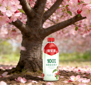 Succo di Mela Sterile Spremuto a Freddo 100% Naturale 1L*6 Ricco di <span class=keywords><strong>Fibre</strong></span> Alimentari per Favorire la Digestione e Regolare il Glucosio nel Sangue - Product Image 6