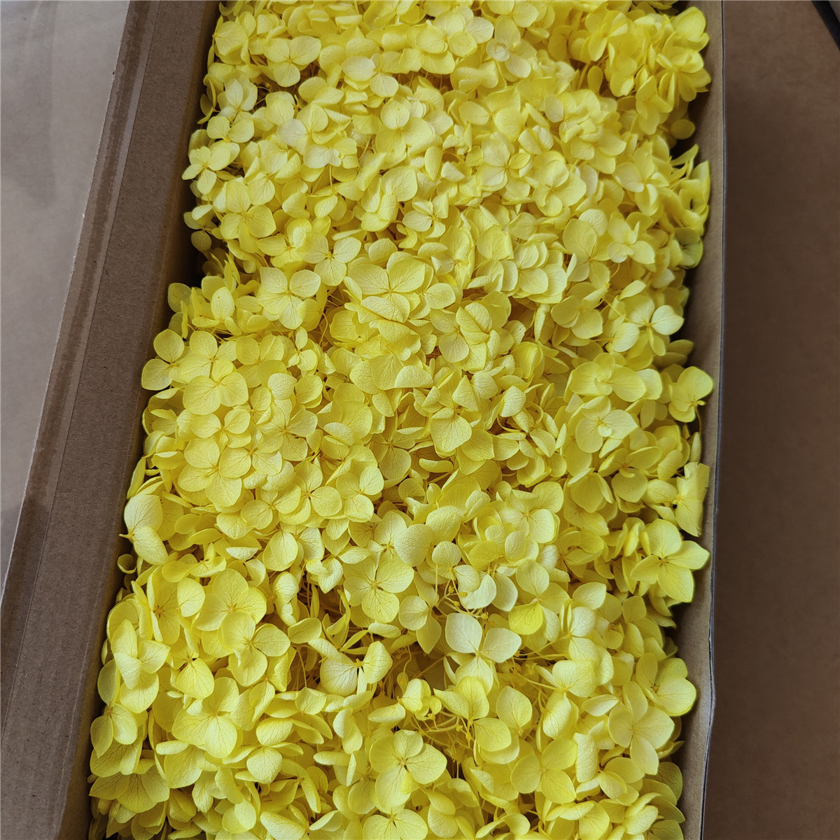 Caja amarilla anna-90-100g