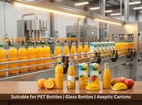 Línea de Producción de Jugo de Piña y Naranja NFC Equipada con Exprimidor, Homogeneizador de Alta Presión, Esterilizador y Máquina de Llenado