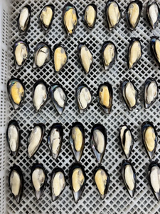 <span class=keywords><strong>Mejillones</strong></span> con media concha <span class=keywords><strong>congelados</strong></span>, <span class=keywords><strong>cocidos</strong></span>, limpios y listos para servir - Product Image 3