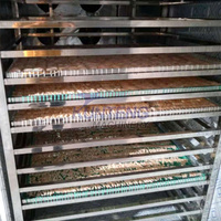 Gerookte Vis Drogen En Roken Machine Garnalen Kippeninsecten Bsf Meerval Zijderupsen Cocon Droger Drogen Gedroogde Vis Machine